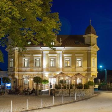 Dobrodelno akcijo je podprla (002)